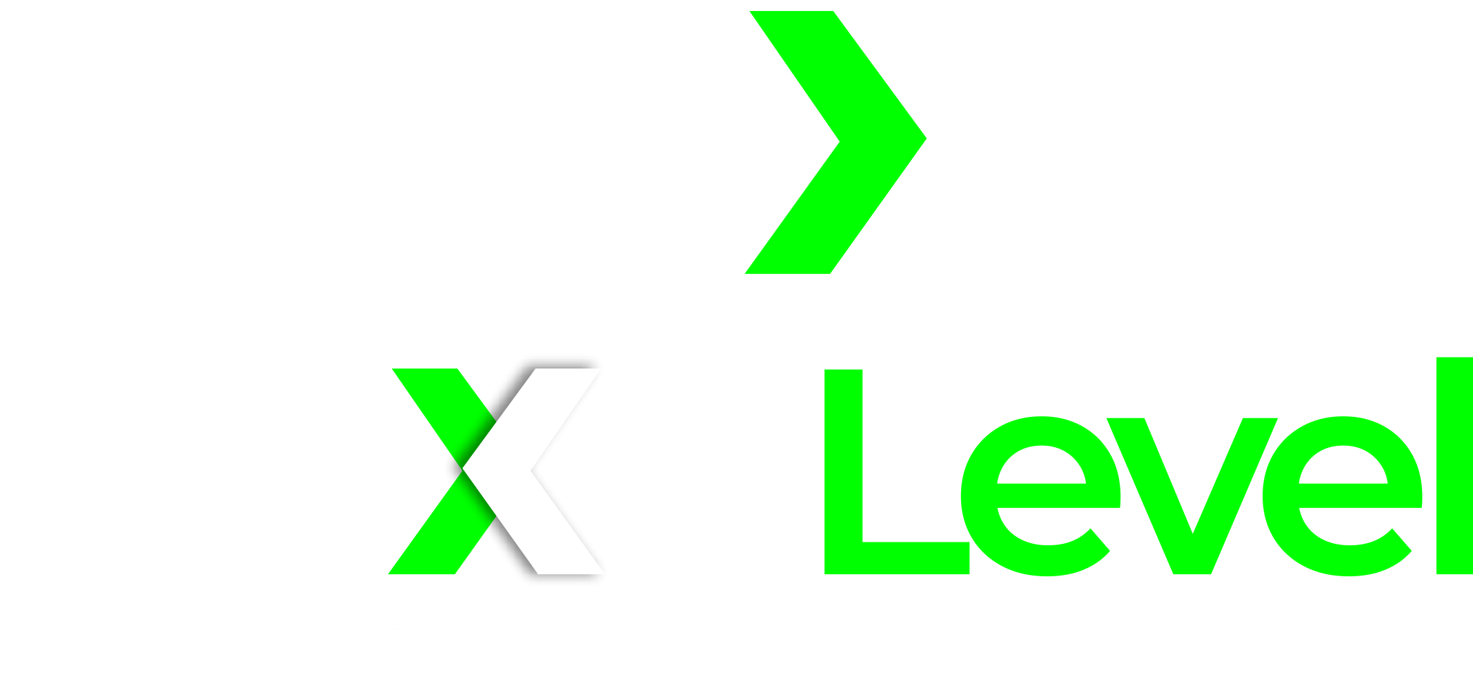 Next Level Logo